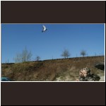 06-TRANSCAMBRESIENNE.2009.jpg